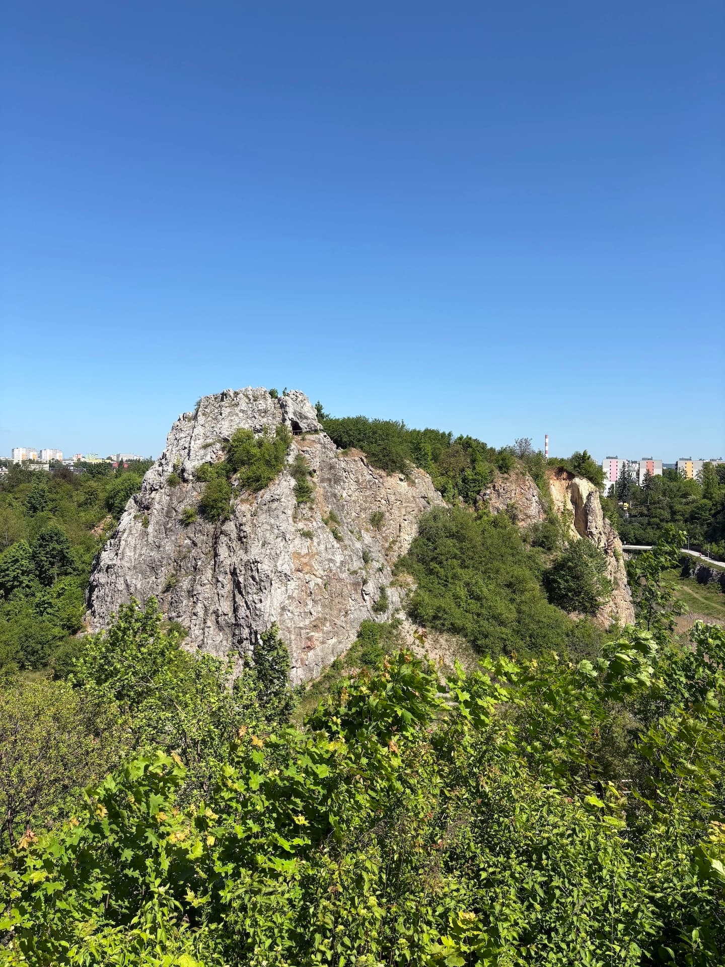 zdjecie z galerii
